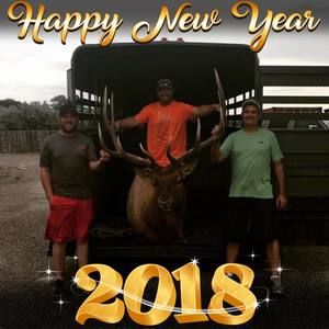 Meet your Posher, Bruce